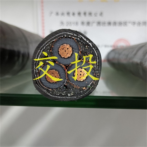 www.bmcj.cn