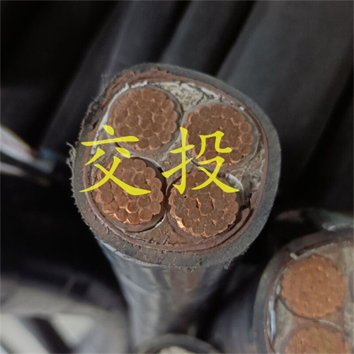 www.bmcj.cn