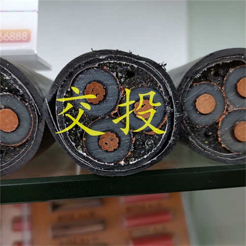 www.bmcj.cn