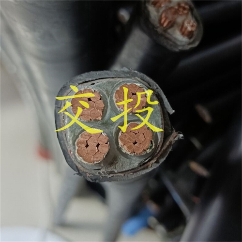 www.bmcj.cn