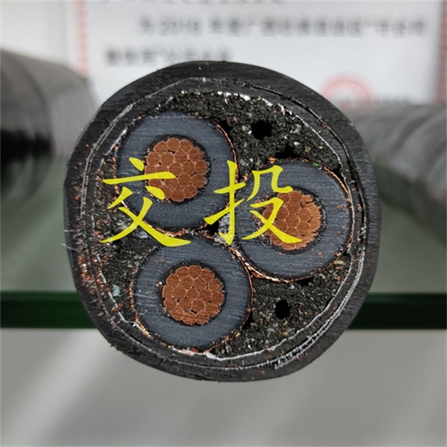 www.bmcj.cn