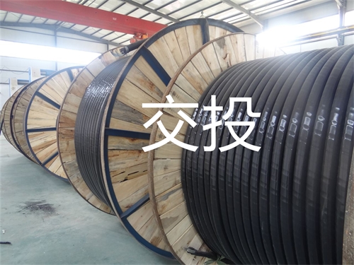 www.bmcj.cn