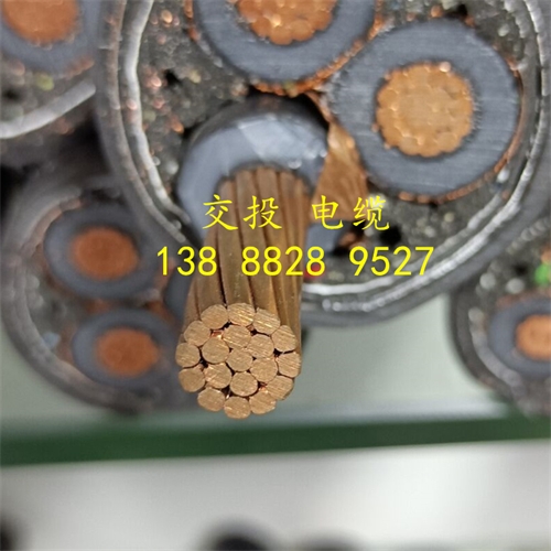 www.bmcj.cn