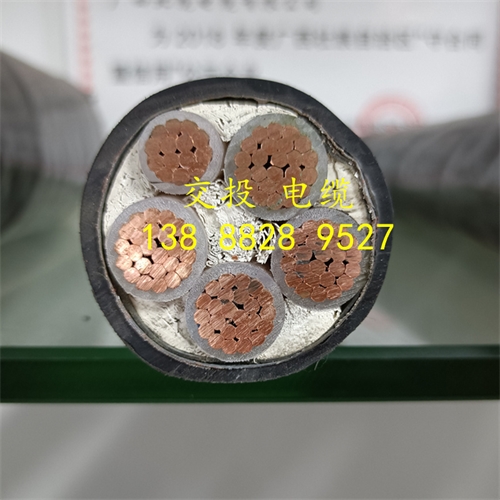 www.bmcj.cn
