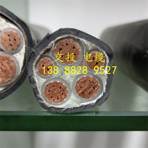 www.bmcj.cn