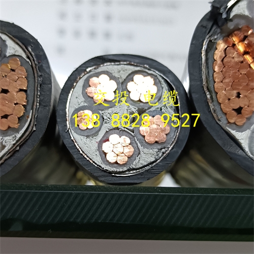 www.bmcj.cn