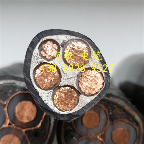 www.bmcj.cn