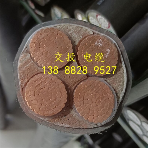 www.bmcj.cn