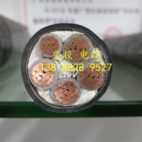 www.bmcj.cn