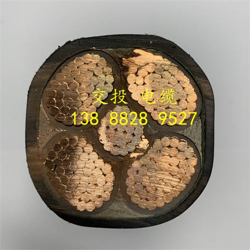 www.bmcj.cn