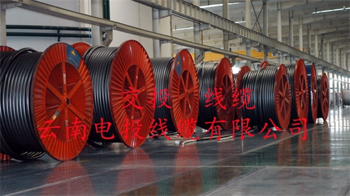 www.bmcj.cn