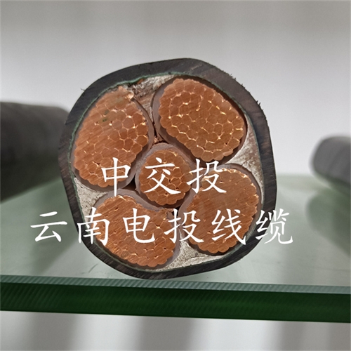 www.bmcj.cn