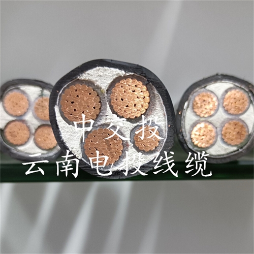 www.bmcj.cn