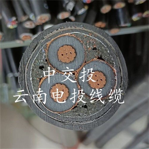 www.bmcj.cn