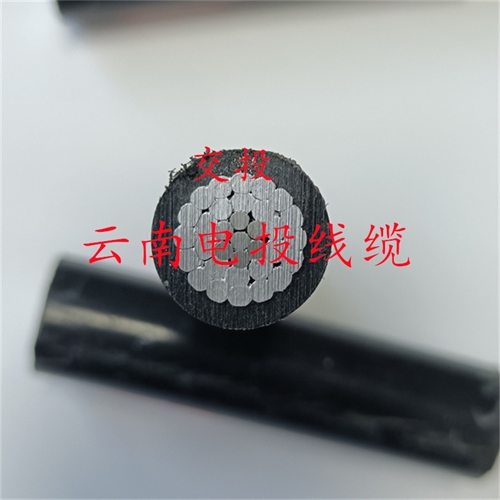 www.bmcj.cn