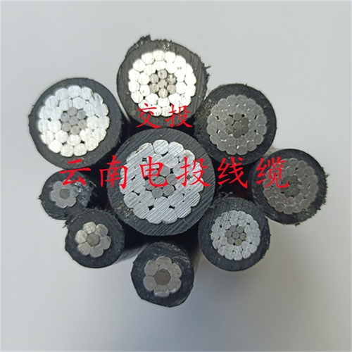www.bmcj.cn
