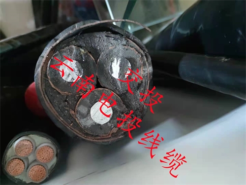 www.bmcj.cn