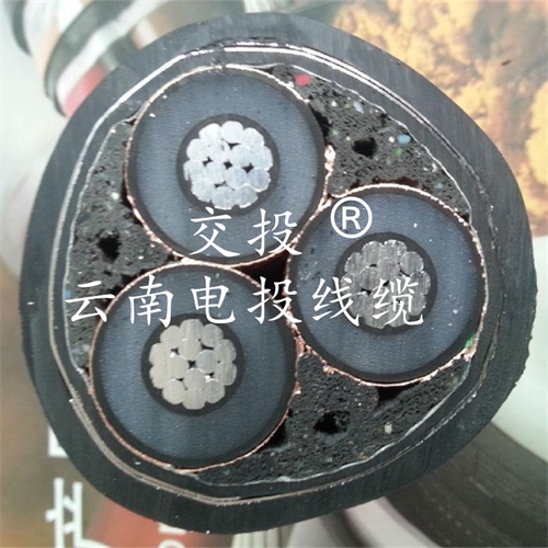 www.bmcj.cn