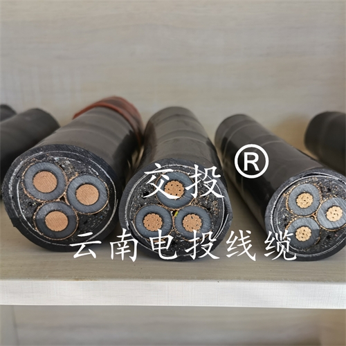 www.bmcj.cn