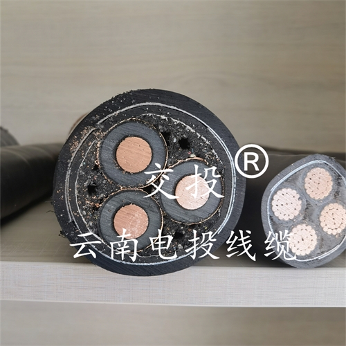 www.bmcj.cn