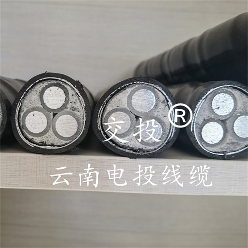 www.bmcj.cn