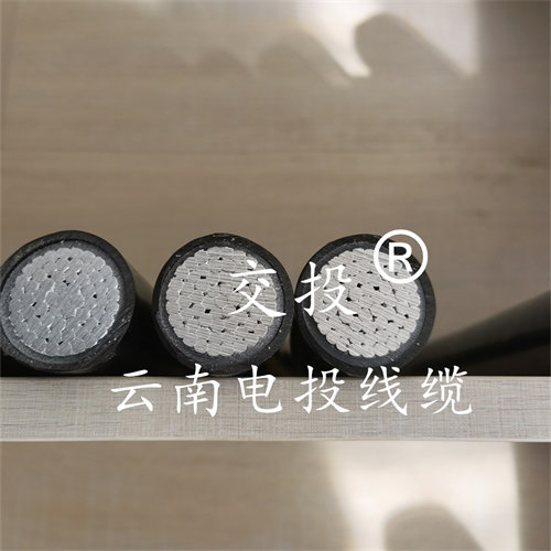 www.bmcj.cn