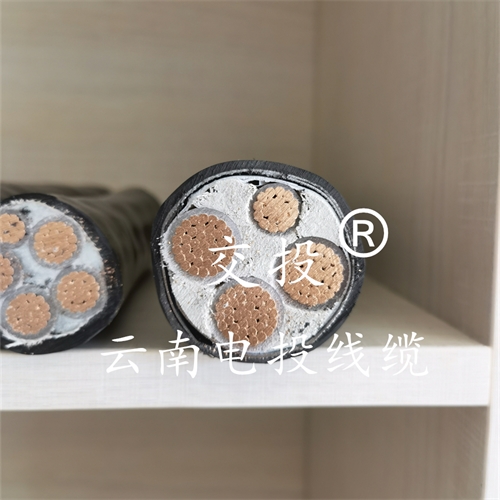 www.bmcj.cn