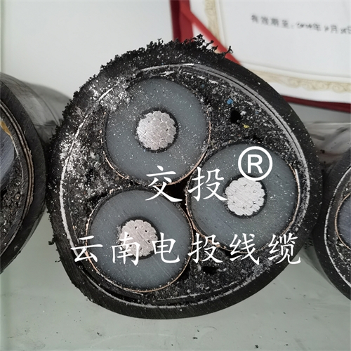 www.bmcj.cn