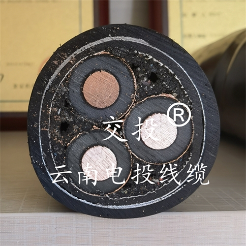 www.bmcj.cn