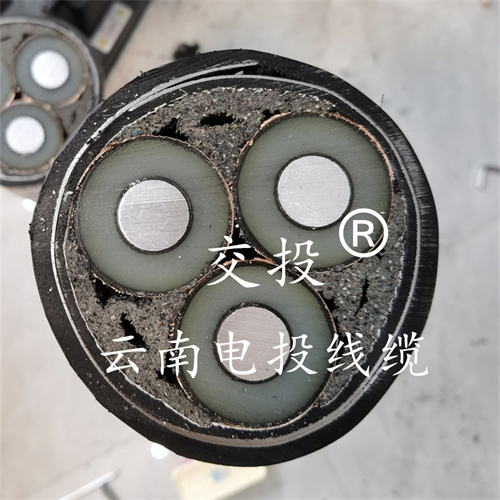 www.bmcj.cn