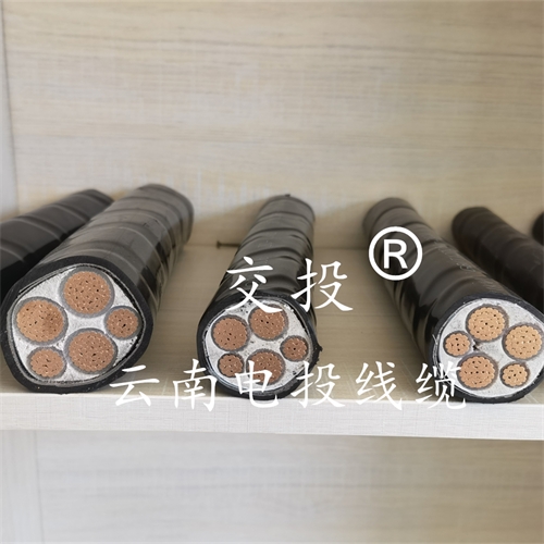 www.bmcj.cn
