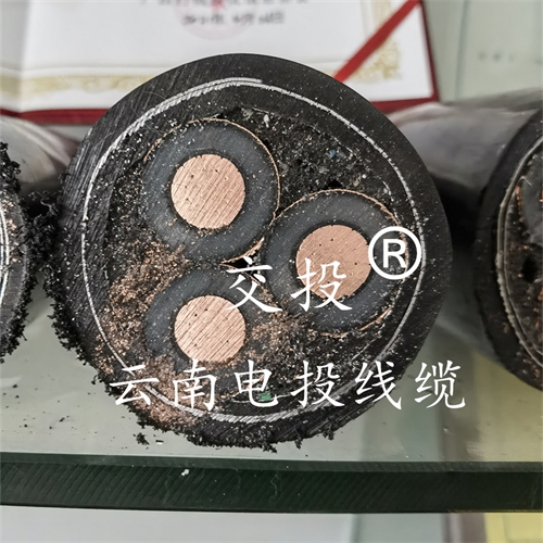 www.bmcj.cn