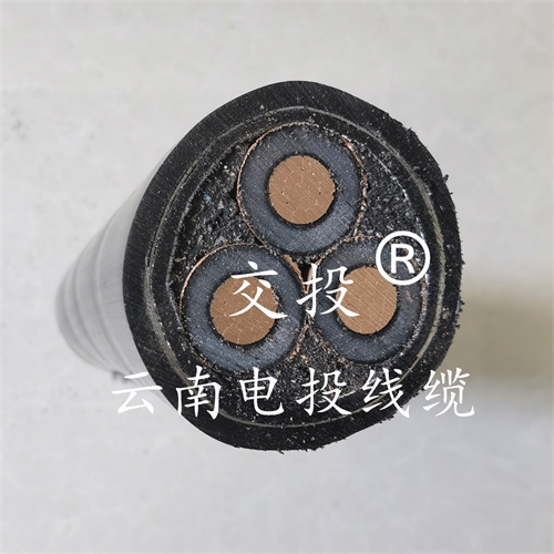 www.bmcj.cn