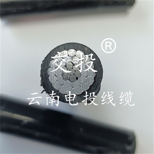 www.bmcj.cn