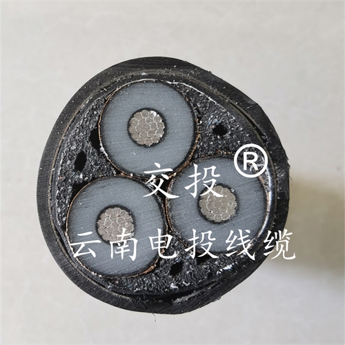 www.bmcj.cn