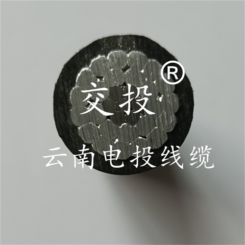 www.bmcj.cn