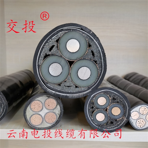 www.bmcj.cn