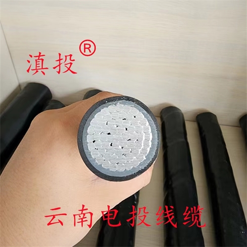 www.bmcj.cn