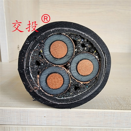 www.bmcj.cn