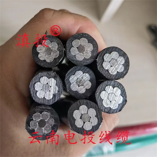 www.bmcj.cn