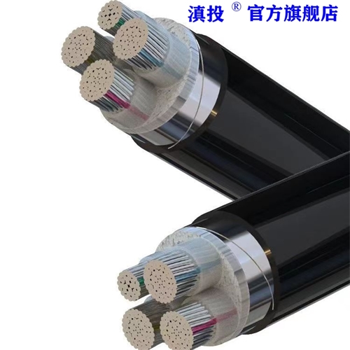 www.bmcj.cn